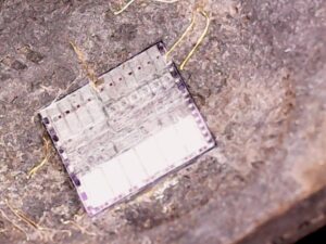 หน่วยไมโครคอนโทรลเลอร์ (MCU) จัดเก็บเฟิร์มแวร์และข้อมูลสำคัญไว้ในหน่วยความจำแฟลชและ EEPROM การอ่านไฟล์ไบนารีเหล่านี้เป็นสิ่งจำเป็นสำหรับวิศวกรรมย้อนกลับ การวิเคราะห์เฟิร์มแวร์ และการกู้คืนข้อมูลที่สูญหาย บทความนี้จะอธิบายกระบวนการดึงไฟล์ไบนารีออกจากหน่วยความจำของ MCU พร้อมกับการรับประกันความสมบูรณ์และความปลอดภัยของข้อมูลการวิเคราะห์เฟิร์มแวร์สามารถช่วยวิศวกรตรวจสอบเฟิร์มแวร์ที่เป็นกรรมสิทธิ์สำหรับการดีบักหรือการตรวจสอบความปลอดภัย การกู้คืนและสำรองข้อมูลเฟิร์มแวร์แบบฝังตัวจากไมโครโปรเซสเซอร์ป้องกันเพื่อดึงเฟิร์มแวร์ที่สูญหายหรือเสียหายกลับมาใช้ใหม่ วิศวกรรมย้อนกลับไมโครคอนโทรลเลอร์ที่ล็อกไว้เพื่อทำความเข้าใจฟังก์ชันการทำงานของอุปกรณ์สำหรับการปรับแต่งหรือการวิจัยด้านความปลอดภัย