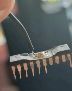 Метод защиты извлечения микроконтроллера (The Extract MCU Protection Method) — это термин, который инкапсулирует набор методов, используемых для обхода защит защищенного или заблокированного микроконтроллера (MCU). Поскольку спрос на встроенное ПО устройств и встроенный исходный код растет — часто для законных целей, таких как восстановление системы, обратная разработка или поддержка устаревших версий — инженеры и исследователи изучили передовые методологии копирования, клонирования или восстановления данных из защищенных чипов. Микроконтроллеры часто поставляются с зашифрованными областями памяти, включая флэш-память, EEPROM или архивы программ, которые предназначены для предотвращения несанкционированного доступа. Однако при использовании правильных методов атаки можно расшифровать, выгрузить и даже реплицировать двоичные файлы, хранящиеся внутри. Именно здесь метод защиты извлечения микроконтроллера становится решающим.