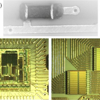 Readout STMicro ARM Microprocessor STM32F101RBT6 Flash Memory Program after break off microcontroller stm32f101rbt6 security fuse bit and extract embedded firmware from stmicro stm32f101rb MCU;